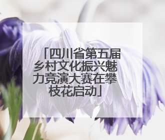 四川省第五届乡村文化振兴魅力竞演大赛在攀枝花启动