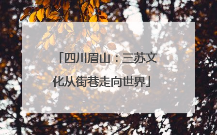 四川眉山：三苏文化从街巷走向世界