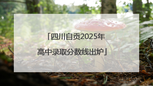 四川自贡2025年高中录取分数线出炉