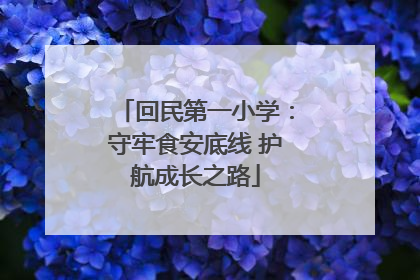 回民第一小学：守牢食安底线 护航成长之路