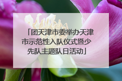 团天津市委举办天津市示范性入队仪式暨少先队主题队日活动