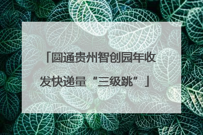 圆通贵州智创园年收发快递量“三级跳”