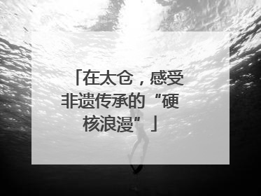 在太仓，感受非遗传承的“硬核浪漫”
