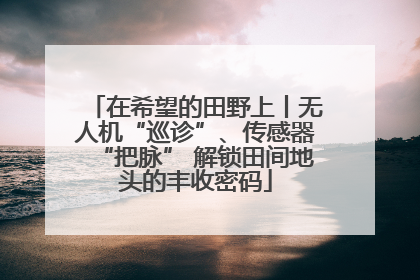 在希望的田野上丨无人机“巡诊”、传感器“把脉” 解锁田间地头的丰收密码