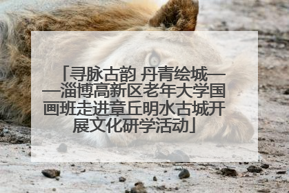 寻脉古韵 丹青绘城——淄博高新区老年大学国画班走进章丘明水古城开展文化研学活动