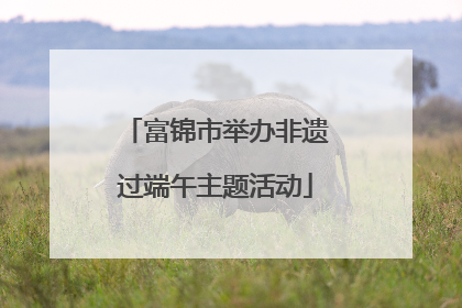 富锦市举办非遗过端午主题活动