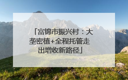 富锦市振兴村：大垄密植+全程托管走出增收新路径