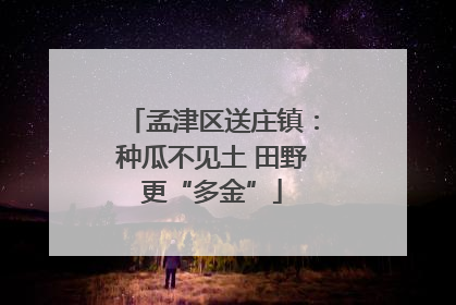 孟津区送庄镇：种瓜不见土 田野更“多金”