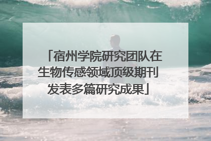 宿州学院研究团队在生物传感领域顶级期刊发表多篇研究成果