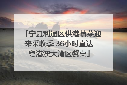 宁夏利通区供港蔬菜迎来采收季 36小时直达粤港澳大湾区餐桌
