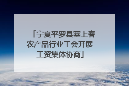 宁夏平罗县塞上春农产品行业工会开展工资集体协商