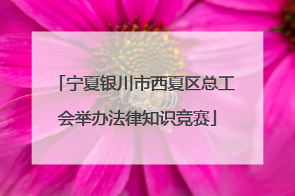 宁夏银川市西夏区总工会举办法律知识竞赛