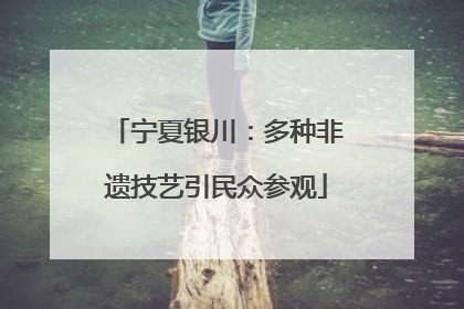 宁夏银川：多种非遗技艺引民众参观