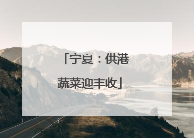 宁夏：供港蔬菜迎丰收