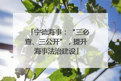 宁德海事：“三必查、三公开”，提升海事法治建设