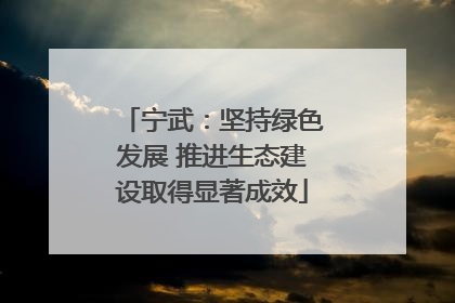 宁武：坚持绿色发展 推进生态建设取得显著成效