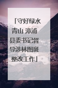 守好绿水青山 漳浦县委书记督导涉林图斑整改工作