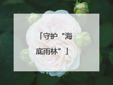 守护“海底雨林”