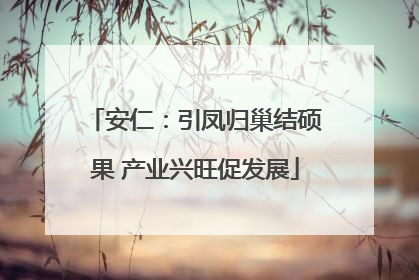 安仁：引凤归巢结硕果 产业兴旺促发展