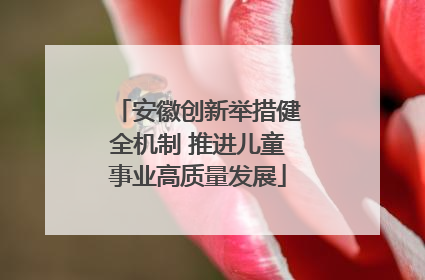 安徽创新举措健全机制 推进儿童事业高质量发展