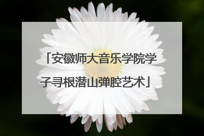 安徽师大音乐学院学子寻根潜山弹腔艺术