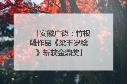 安徽广德：竹根雕作品《梁丰岁稔》斩获金鼎奖