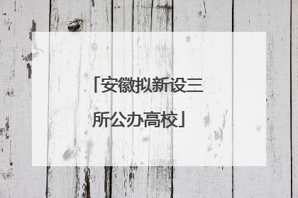 安徽拟新设三所公办高校