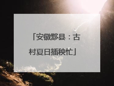 安徽黟县：古村夏日插秧忙
