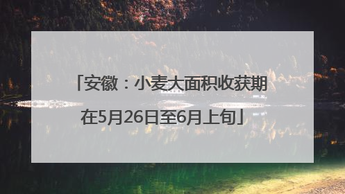 安徽：小麦大面积收获期在5月26日至6月上旬