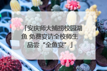 安庆师大捕捞校园湖鱼 免费宴请全校师生品尝“全鱼宴”