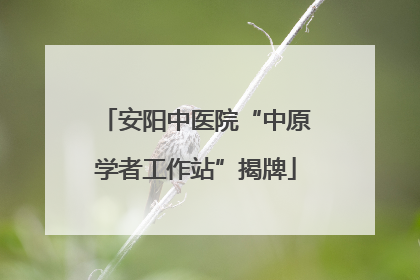 安阳中医院“中原学者工作站”揭牌