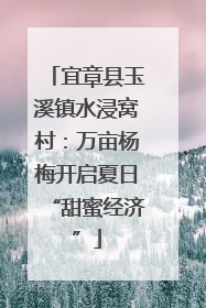 宜章县玉溪镇水浸窝村：万亩杨梅开启夏日“甜蜜经济”
