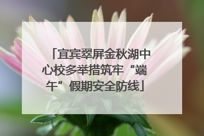宜宾翠屏金秋湖中心校多举措筑牢“端午”假期安全防线