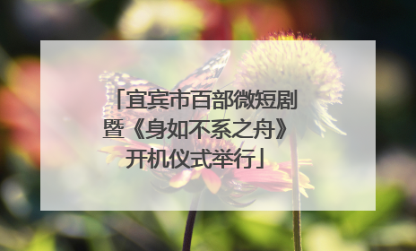 宜宾市百部微短剧暨《身如不系之舟》开机仪式举行