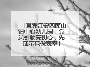 宜宾江安四面山镇中心幼儿园：党员引领亮初心，先锋示范做表率