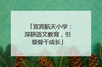 宜宾航天小学：深耕语文教育，引领骨干成长