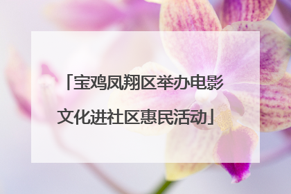 宝鸡凤翔区举办电影文化进社区惠民活动