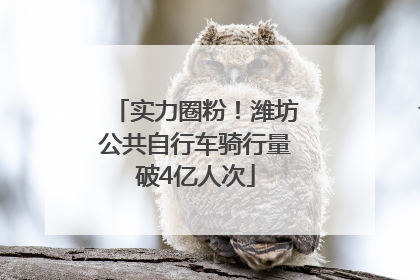 实力圈粉！潍坊公共自行车骑行量破4亿人次