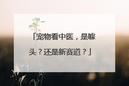 宠物看中医，是噱头？还是新赛道？