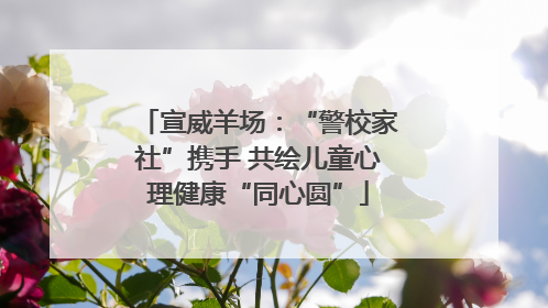 宣威羊场：“警校家社”携手 共绘儿童心理健康“同心圆”