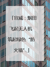 宣威：烟田飞起无人机 筑起绿色“防火墙”