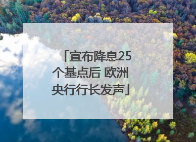 宣布降息25个基点后 欧洲央行行长发声