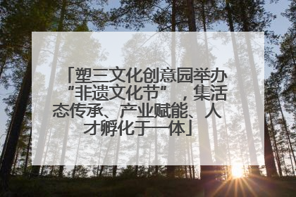 塑三文化创意园举办“非遗文化节”，集活态传承、产业赋能、人才孵化于一体