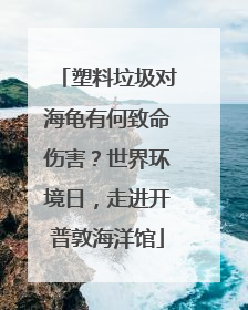 塑料垃圾对海龟有何致命伤害？世界环境日，走进开普敦海洋馆