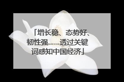 增长稳、态势好、韧性强……透过关键词感知中国经济