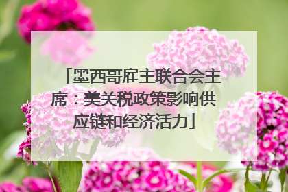 墨西哥雇主联合会主席：美关税政策影响供应链和经济活力