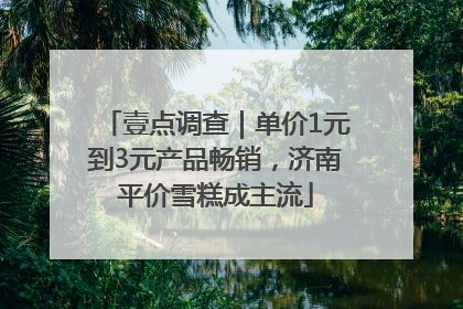 壹点调查｜单价1元到3元产品畅销，济南平价雪糕成主流