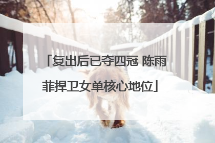 复出后已夺四冠 陈雨菲捍卫女单核心地位