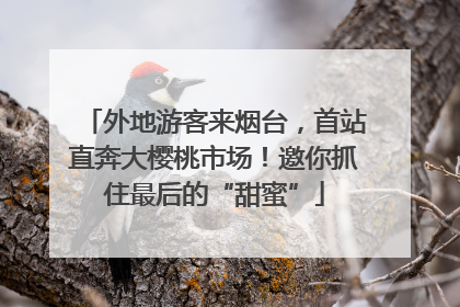 外地游客来烟台，首站直奔大樱桃市场！邀你抓住最后的“甜蜜”
