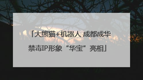 大熊猫+机器人 成都成华禁毒IP形象“华宝”亮相